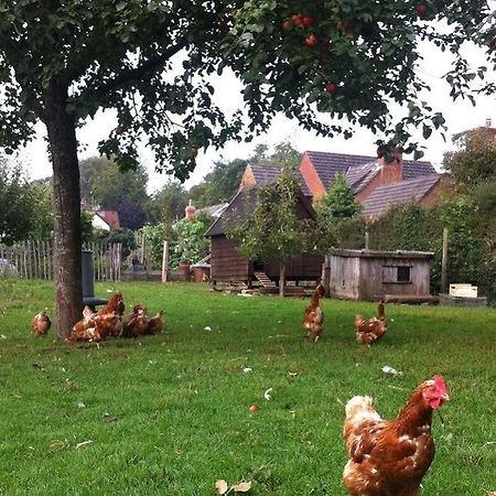 Cider Cottages Burley Exteriér fotografie